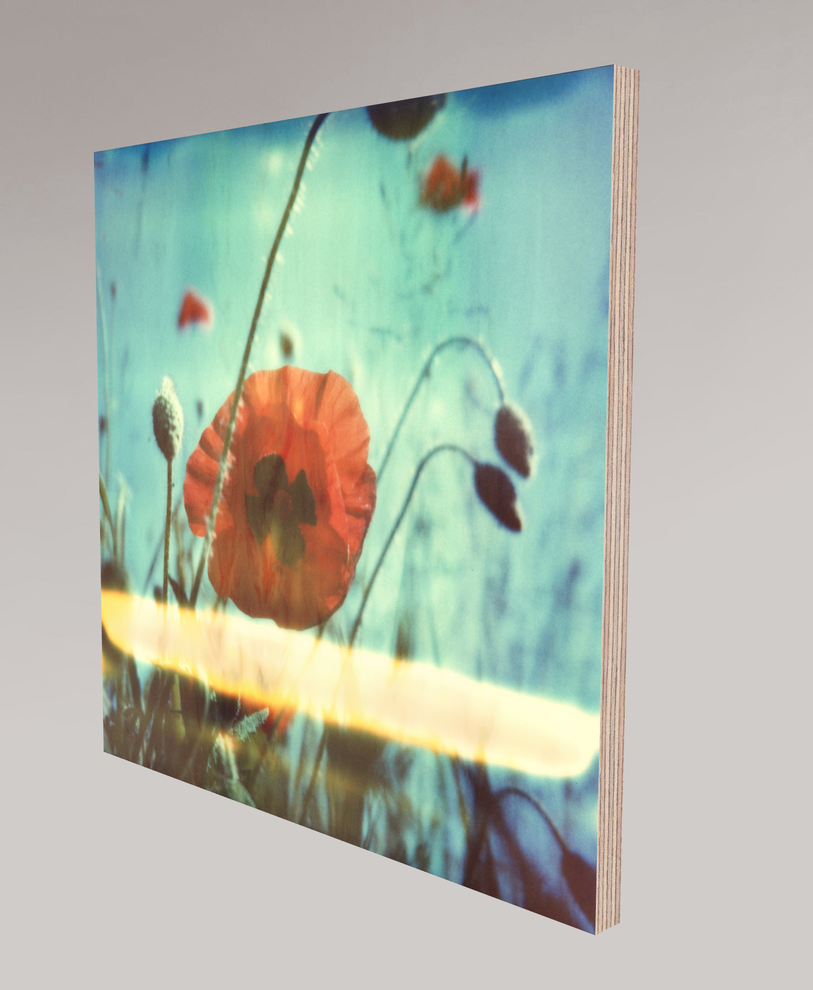 Nouveau coquelicot n°01, 2015
