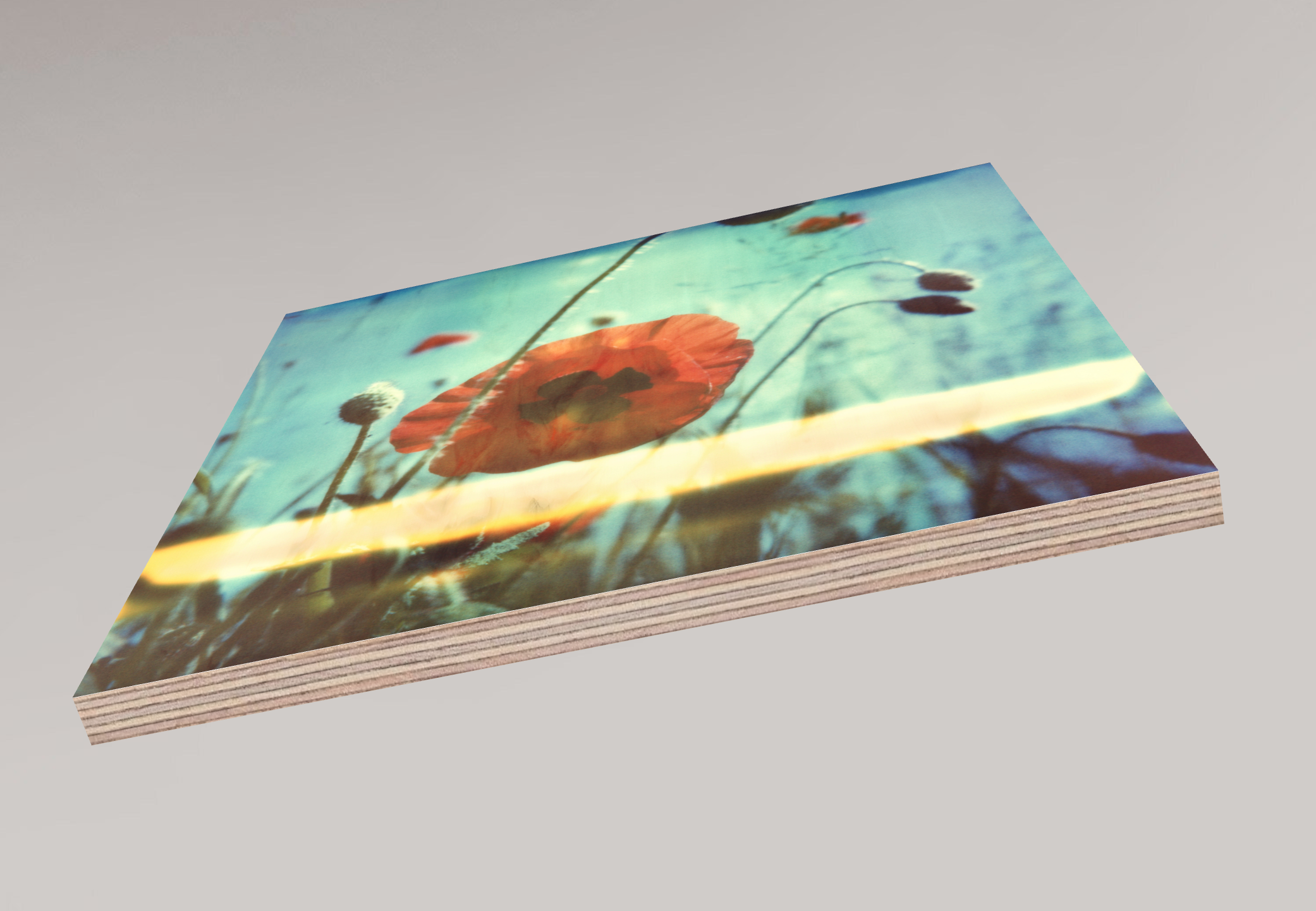 Nouveau coquelicot n°01, 2015