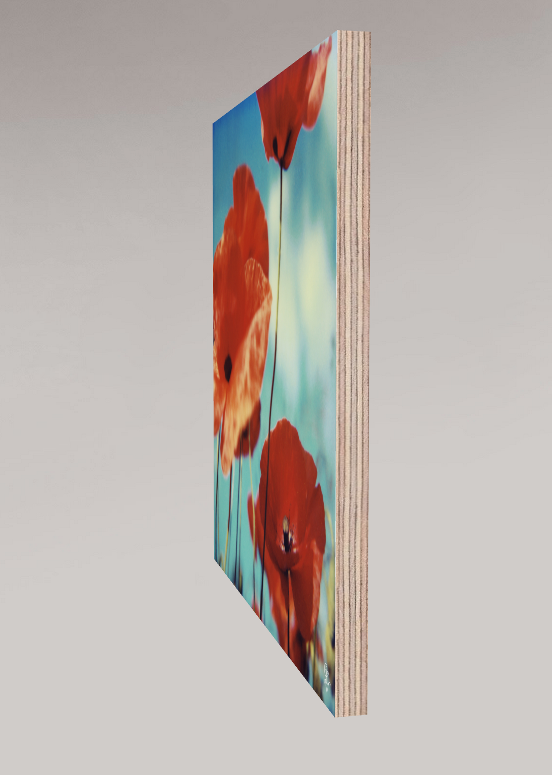 #12, 2006