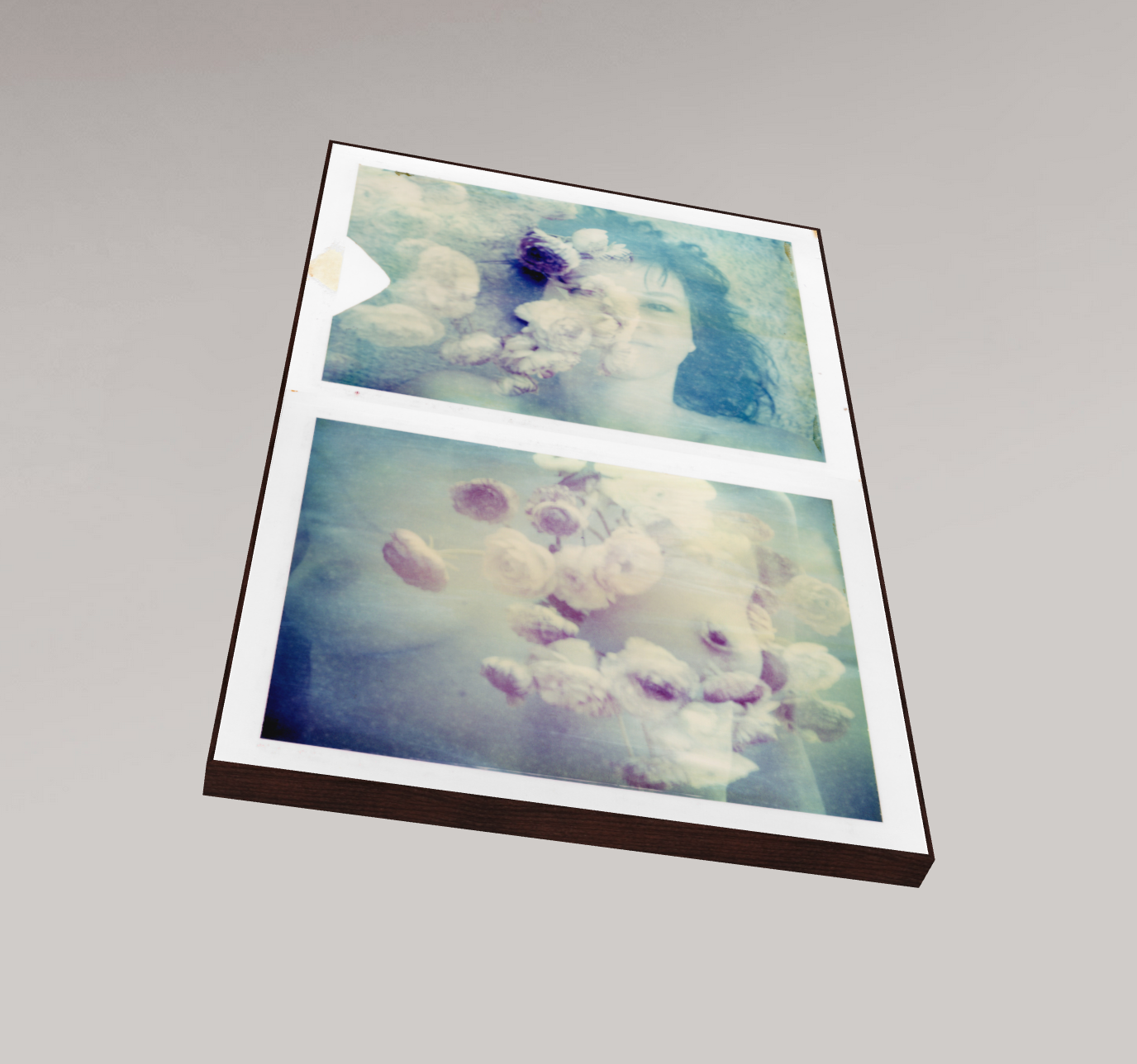 Ranonkel #diptych, 2009