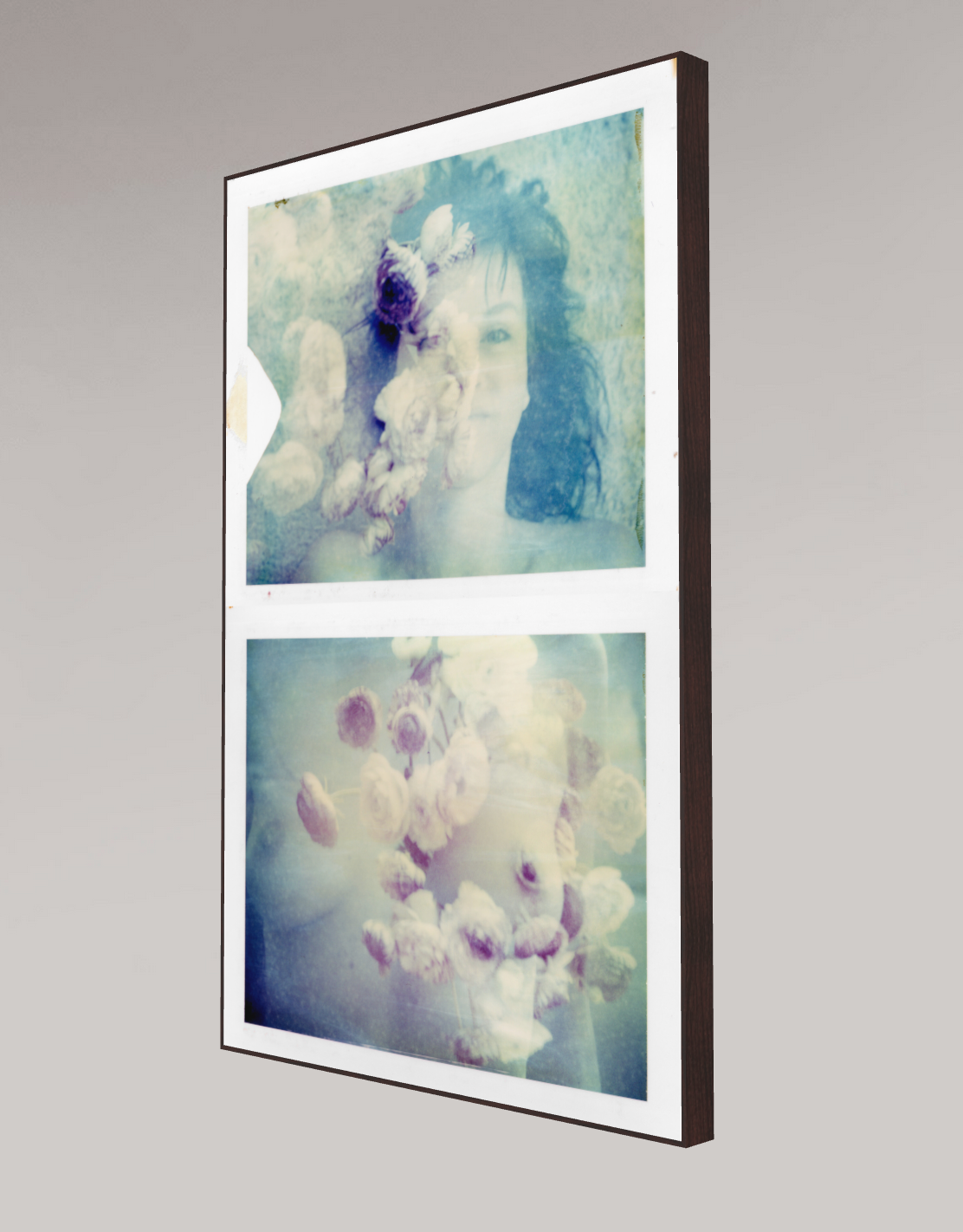 Ranonkel #diptych, 2009