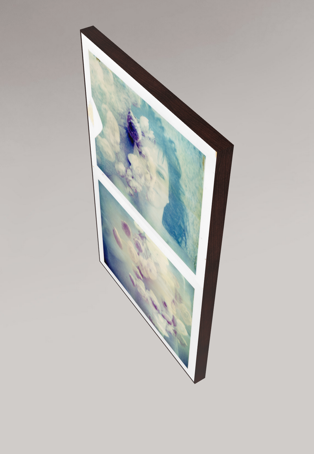 Ranonkel #diptych, 2009