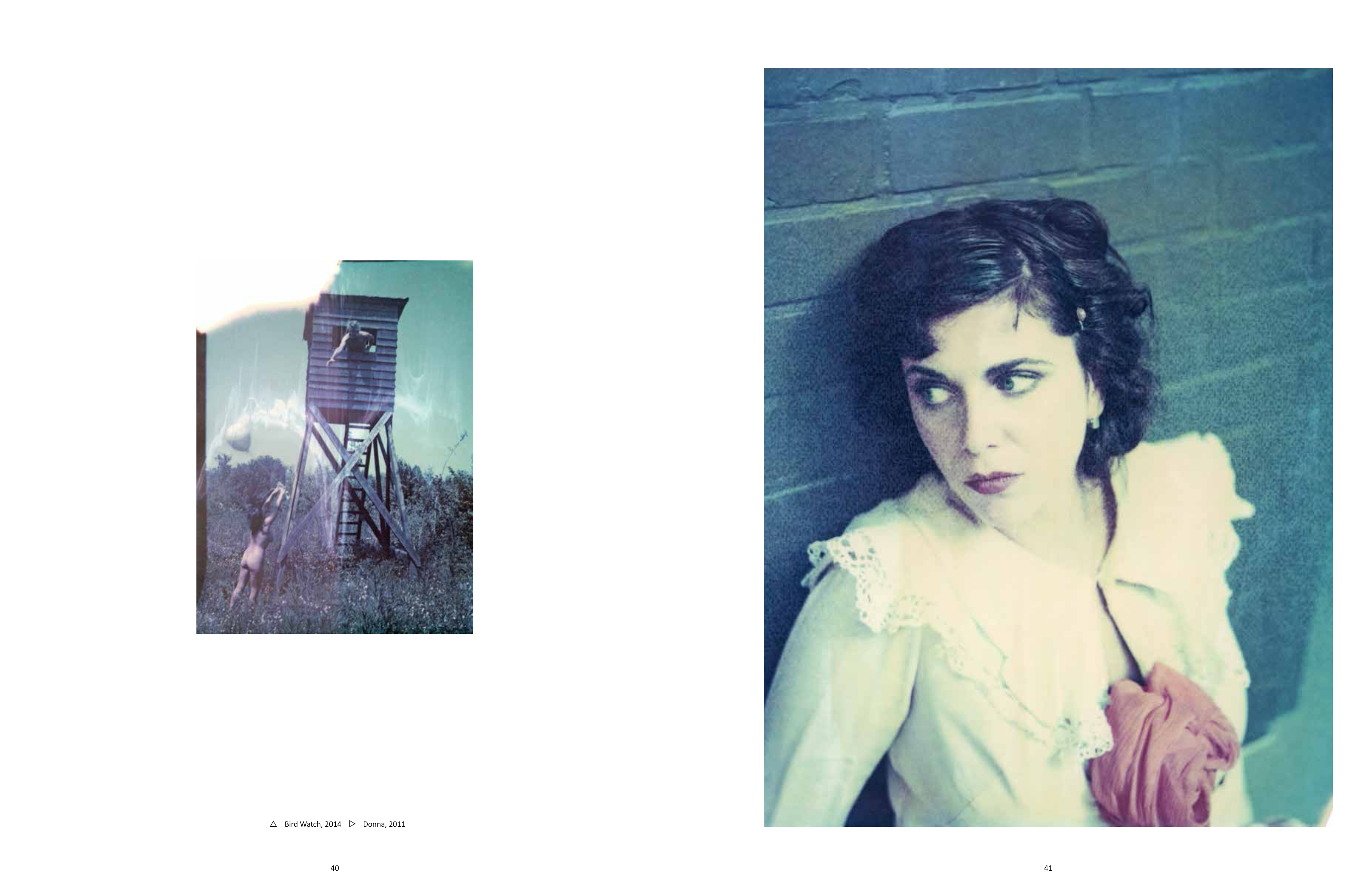 The Eyes of the Fox, 2018