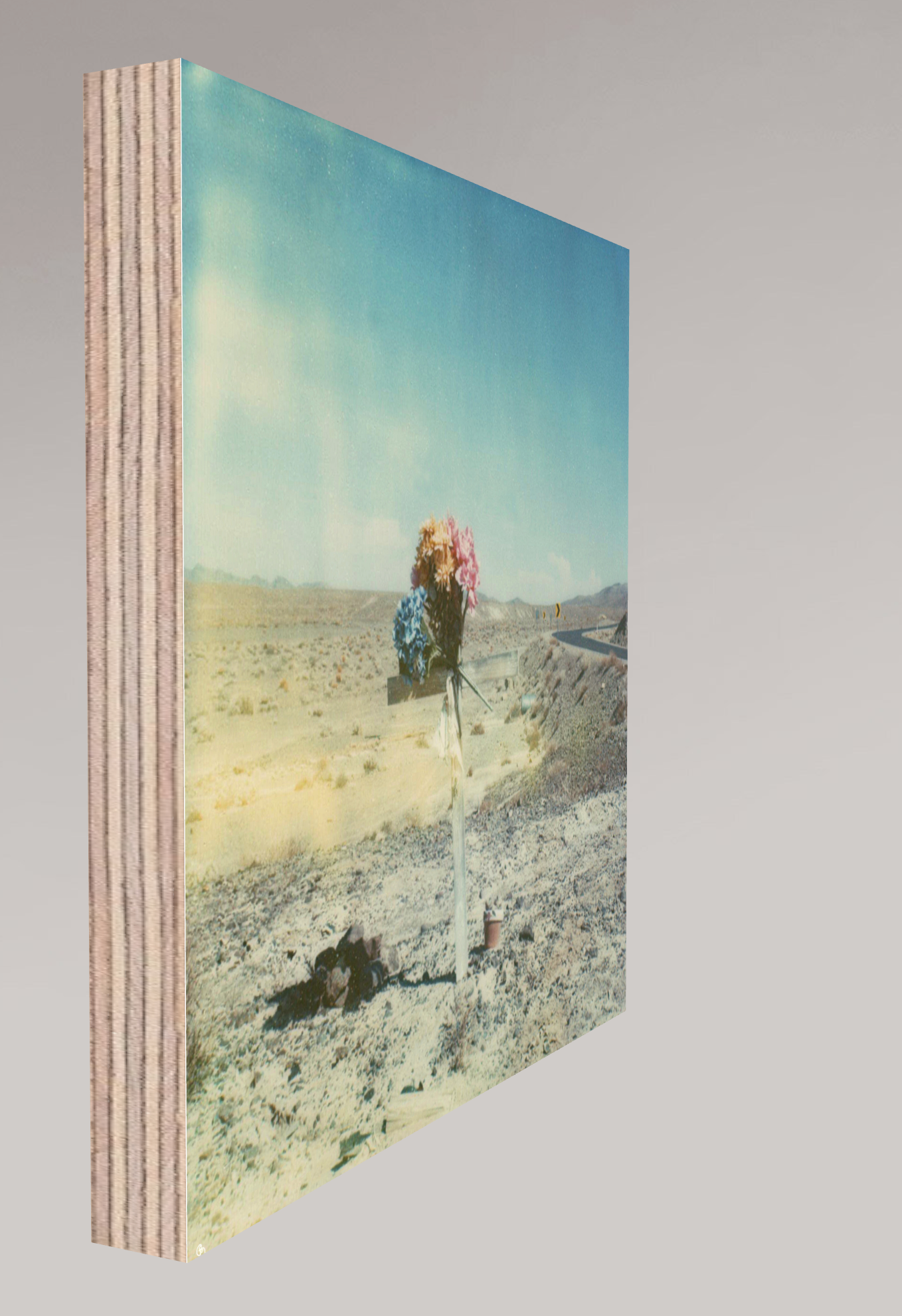 Death Valley Junction #109, 2007