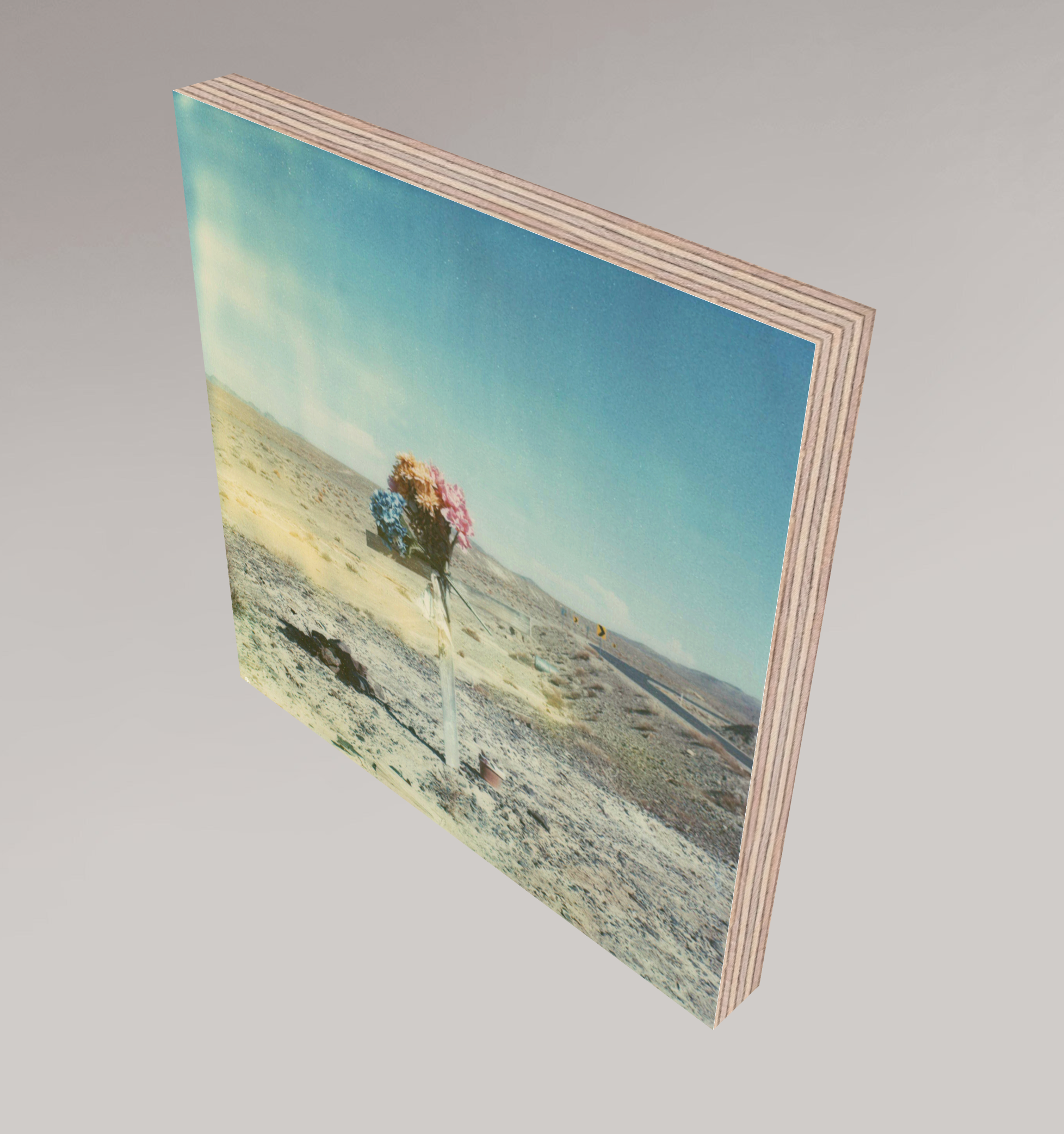 Death Valley Junction #109, 2007