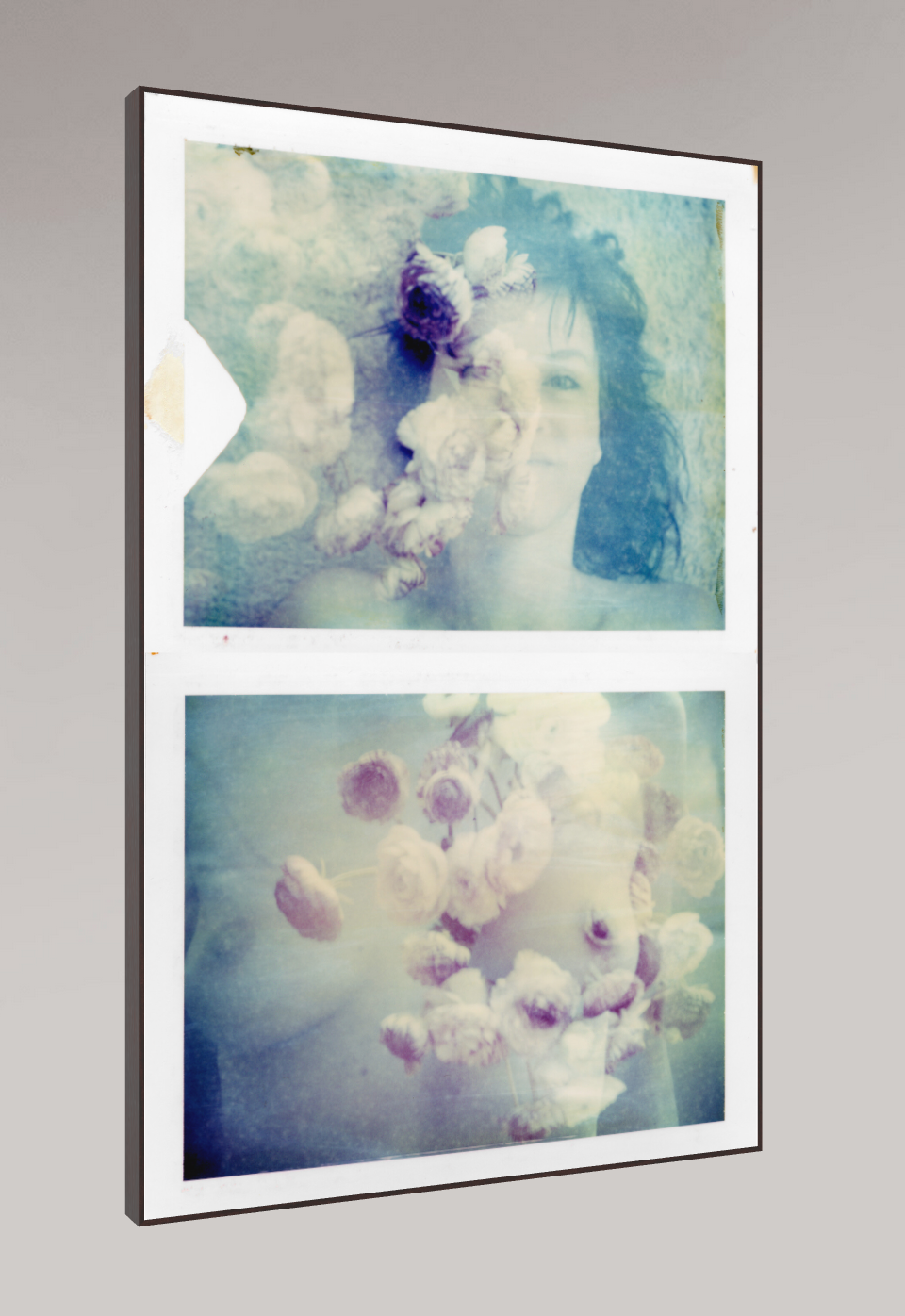 Ranonkel #diptych, 2009