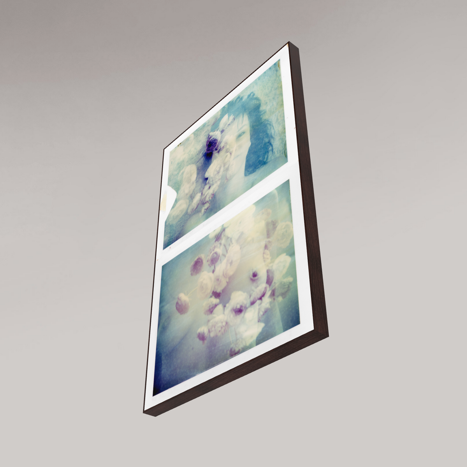 Ranonkel #diptych, 2009