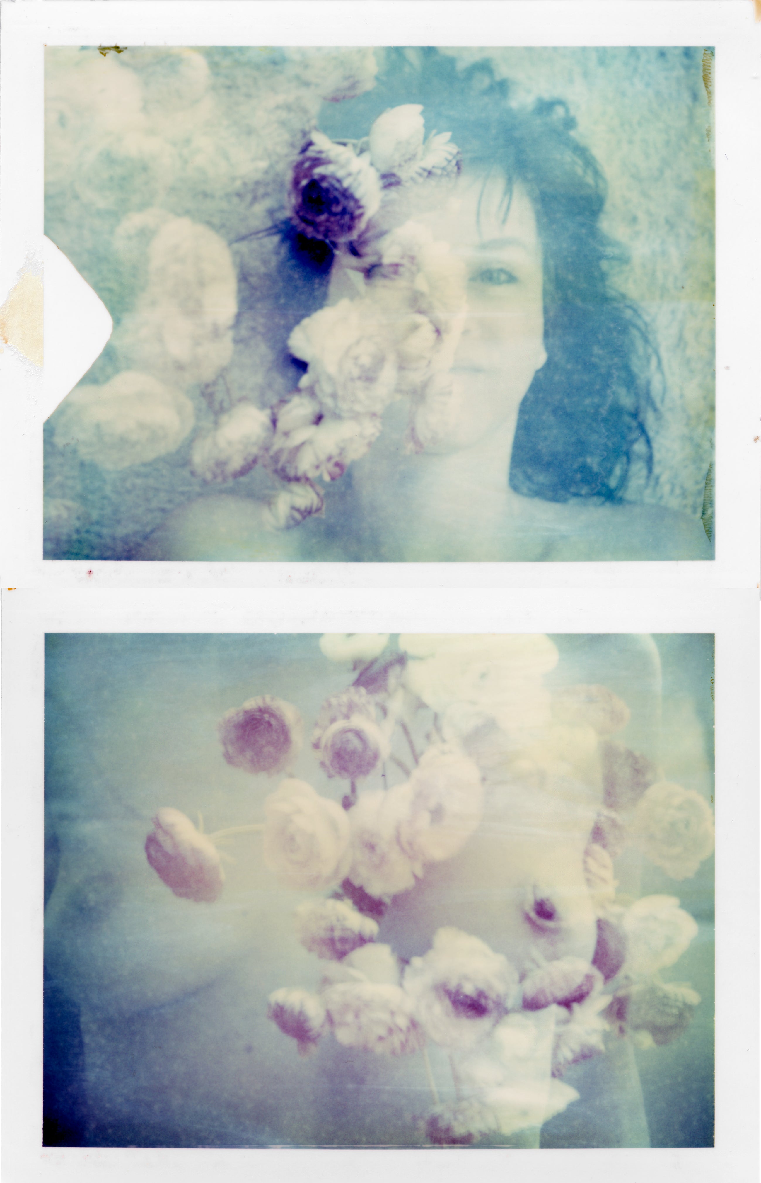 Ranonkel #diptych, 2009