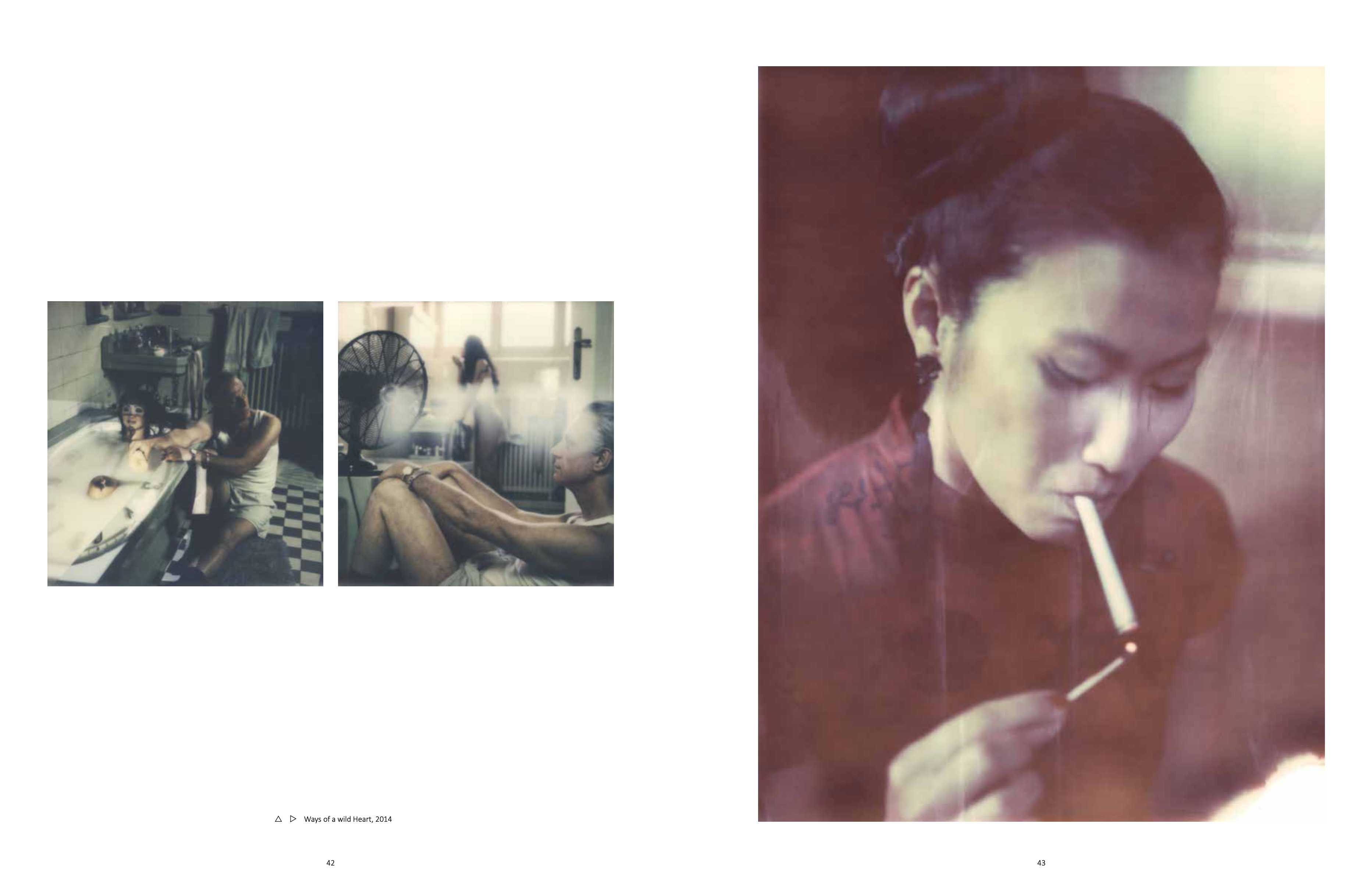 The Eyes of the Fox, 2018