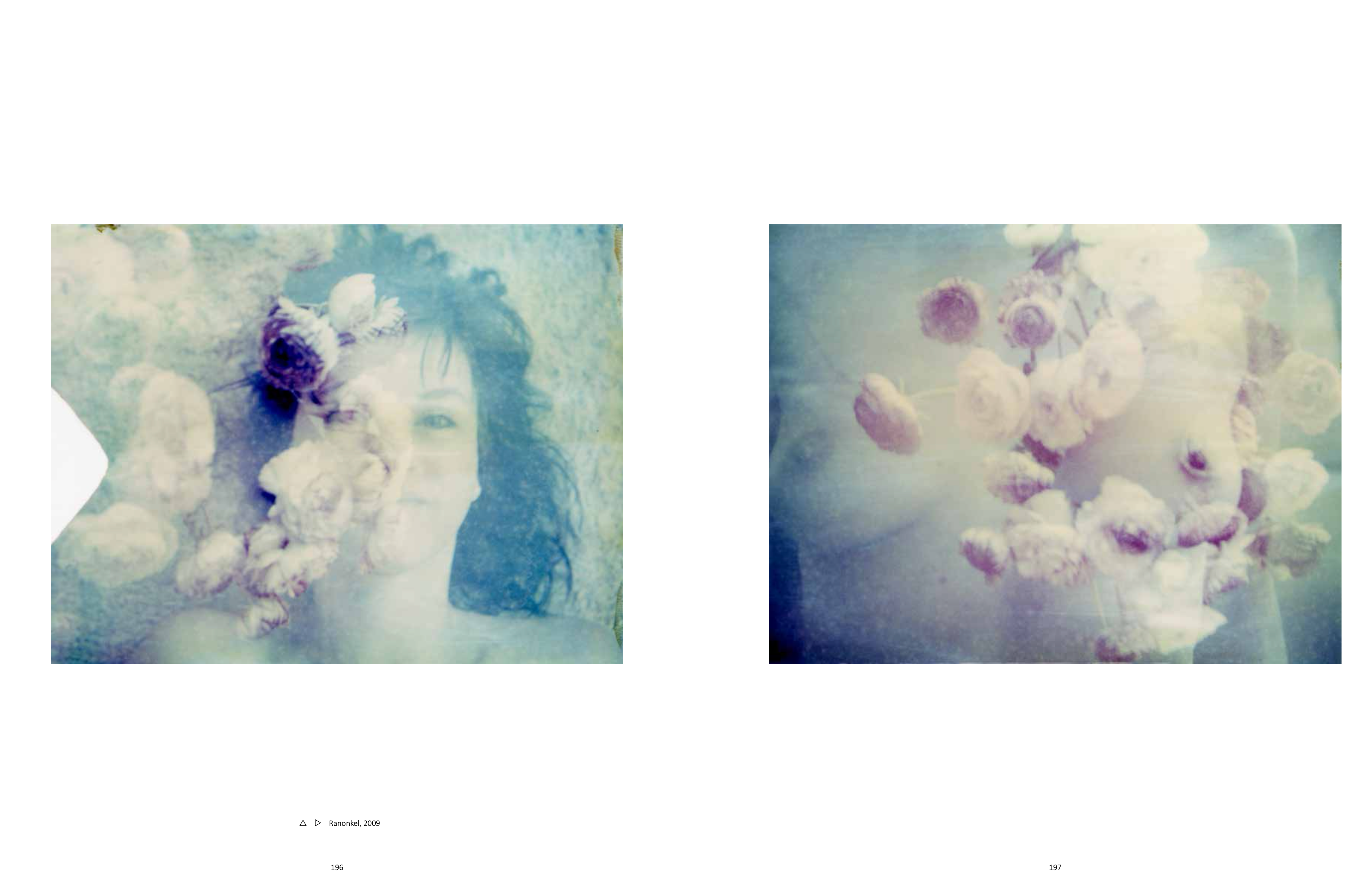 The Eyes of the Fox, 2018