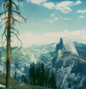 Yosemite Scape, 2007